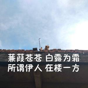 亚洲AV激情无码专区在线下载
